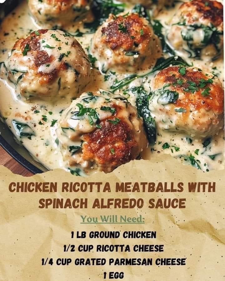 chicken-ricotta-meatballs-with-spinach-alfredo-sauce-my-blog